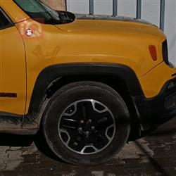 جيب رينيجيد